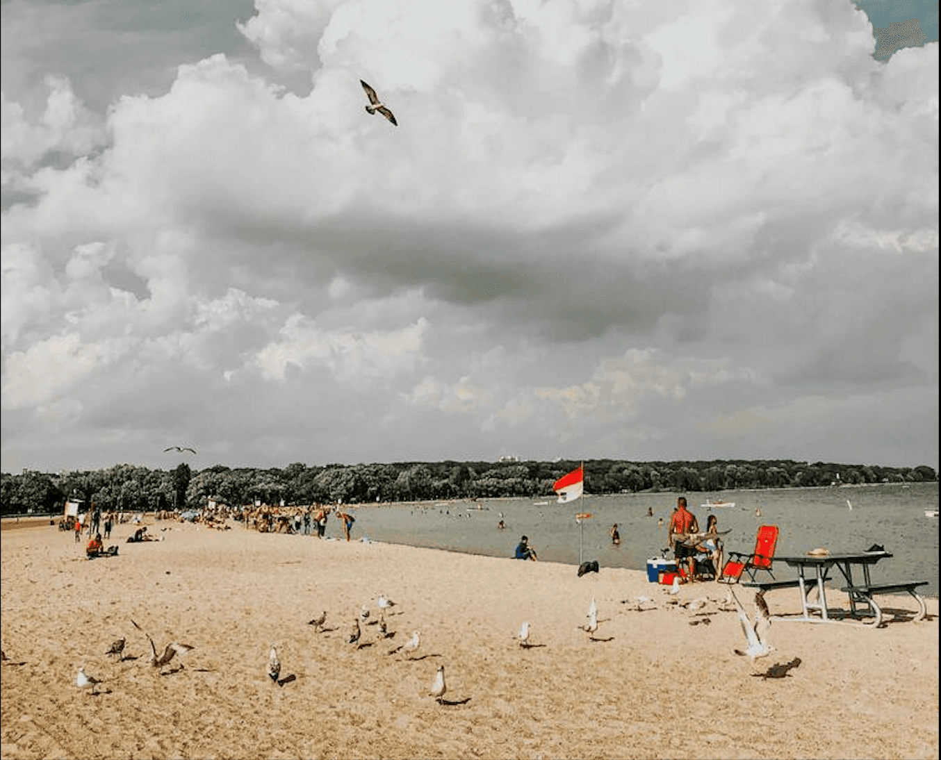 Parking Toronto Woodbine Beach | Find Parking Near Me | clicknpark