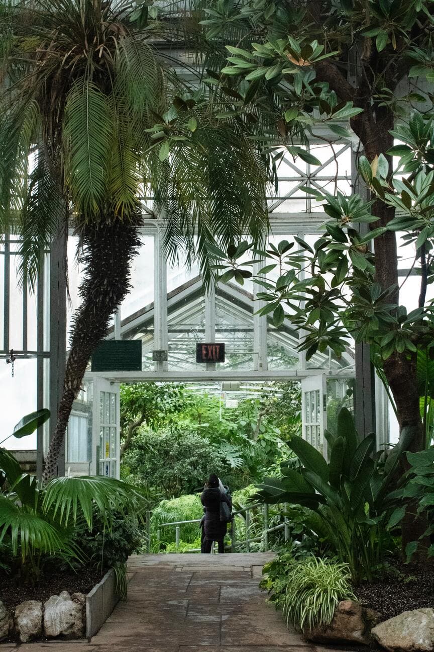 Allan Gardens