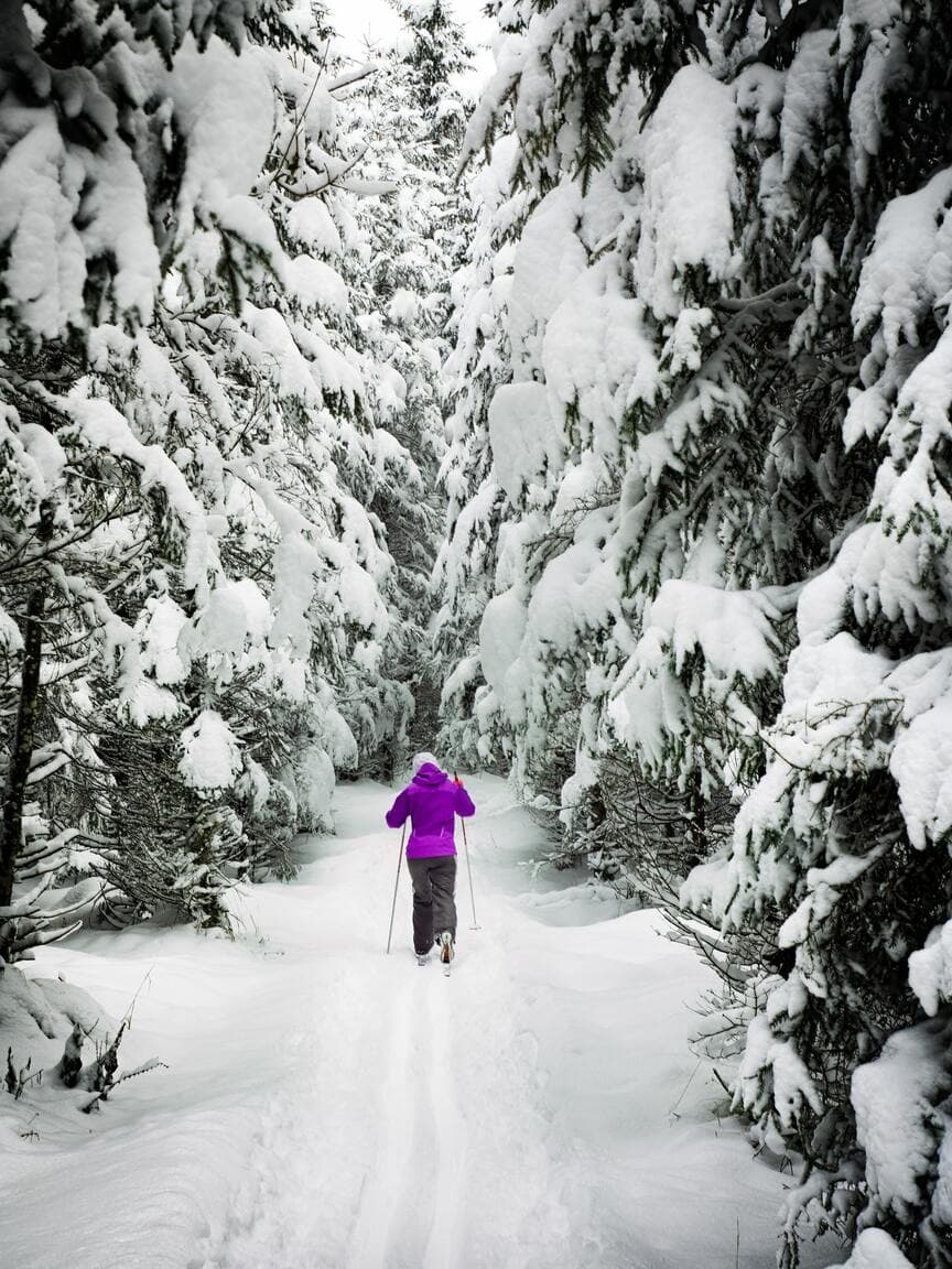 Cross-country skiing Charlesbourg