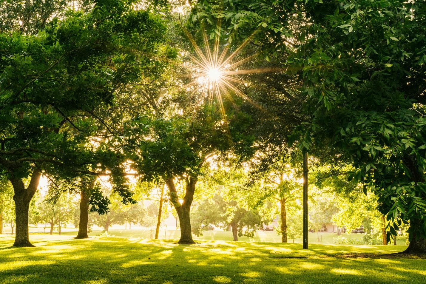 Le Parc Laurier