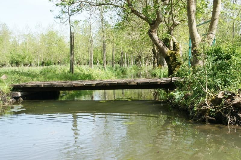 Marais du Nord
