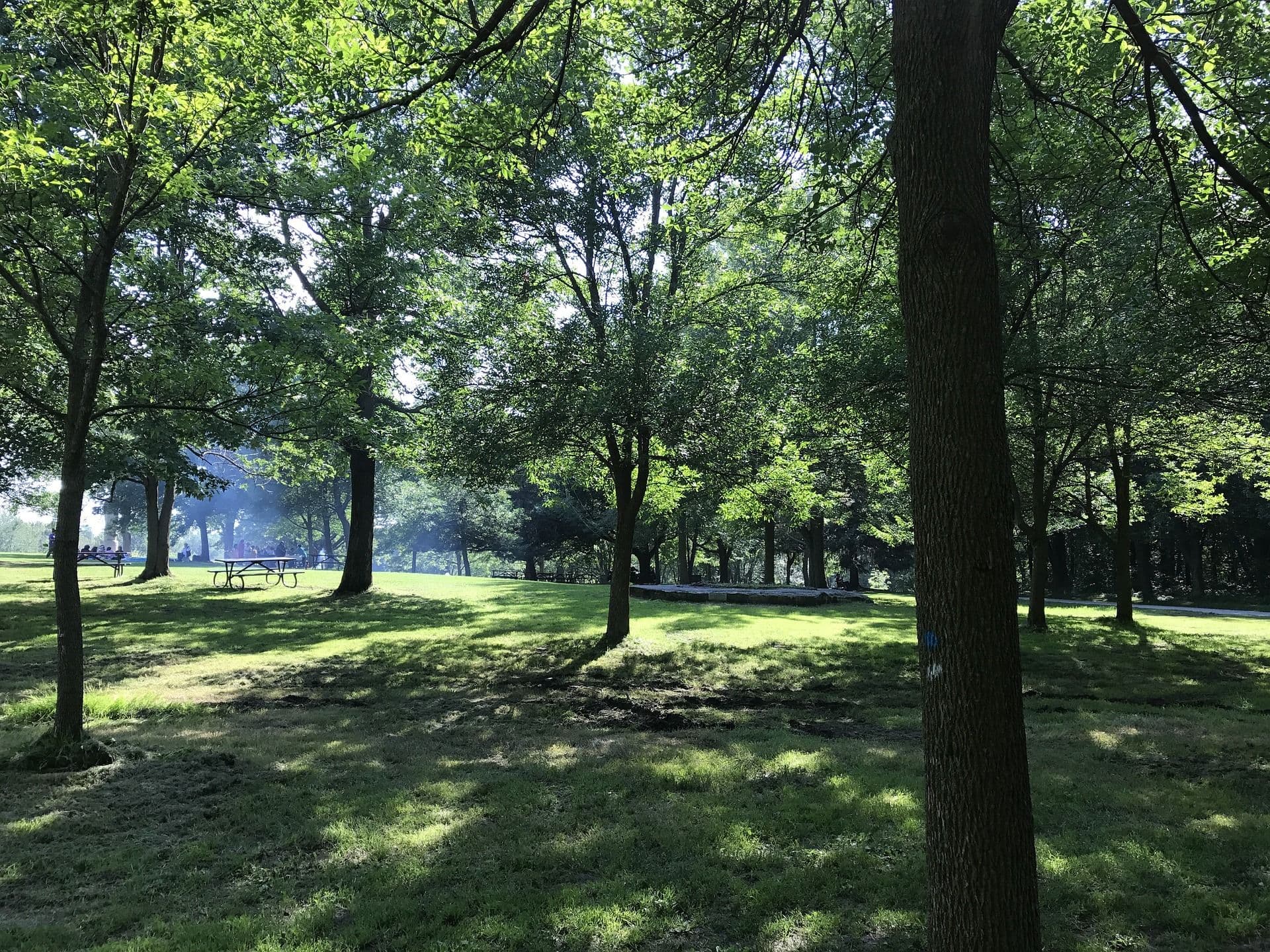Mount Royal Park