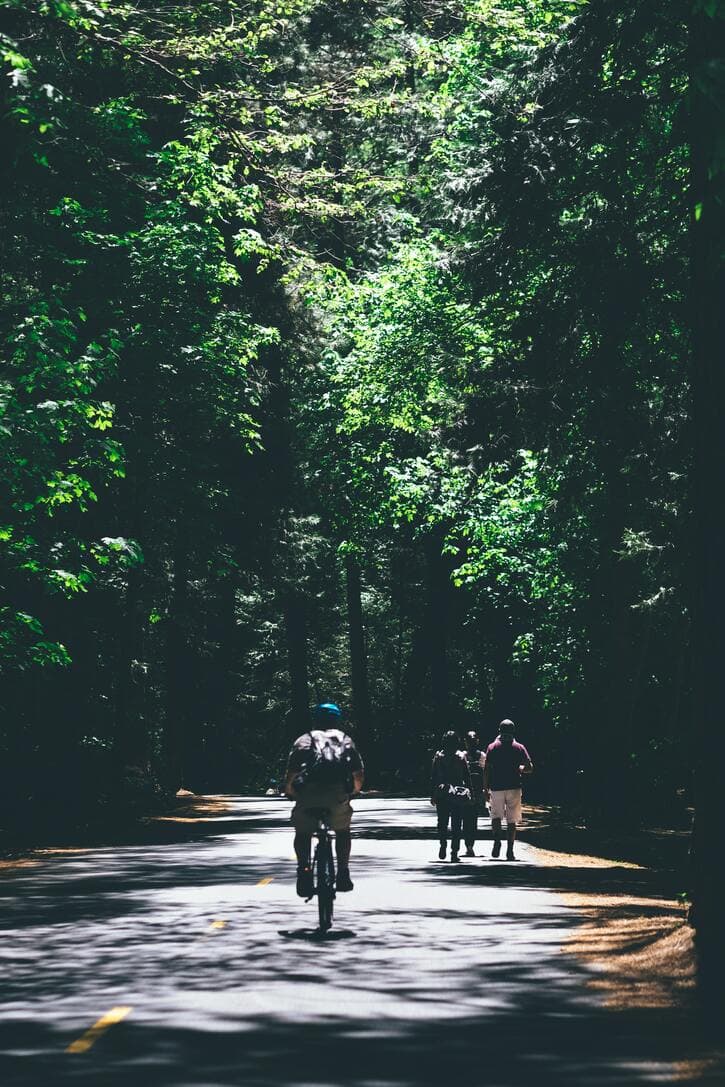 Parcours des Anses (cycling paths)