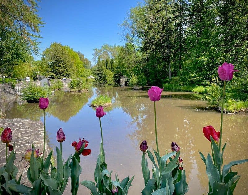 Parc des Moulins