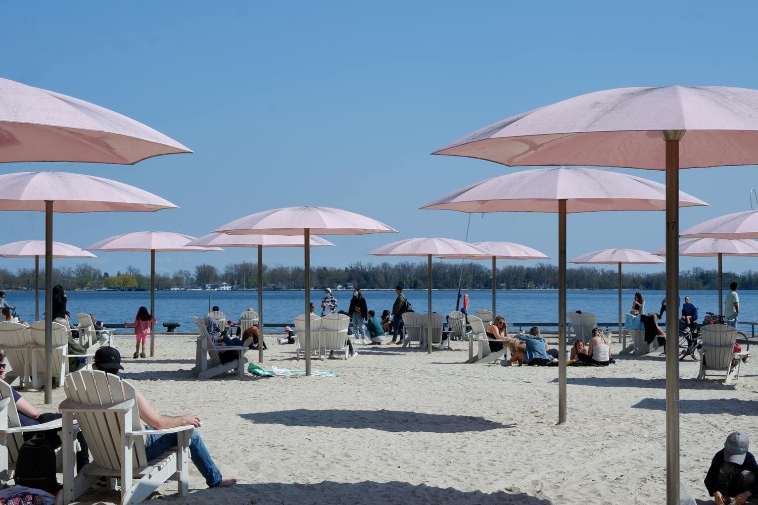 Stationnements Toronto Sugar Beach | Trouver un stationnement près de moi | clicknpark