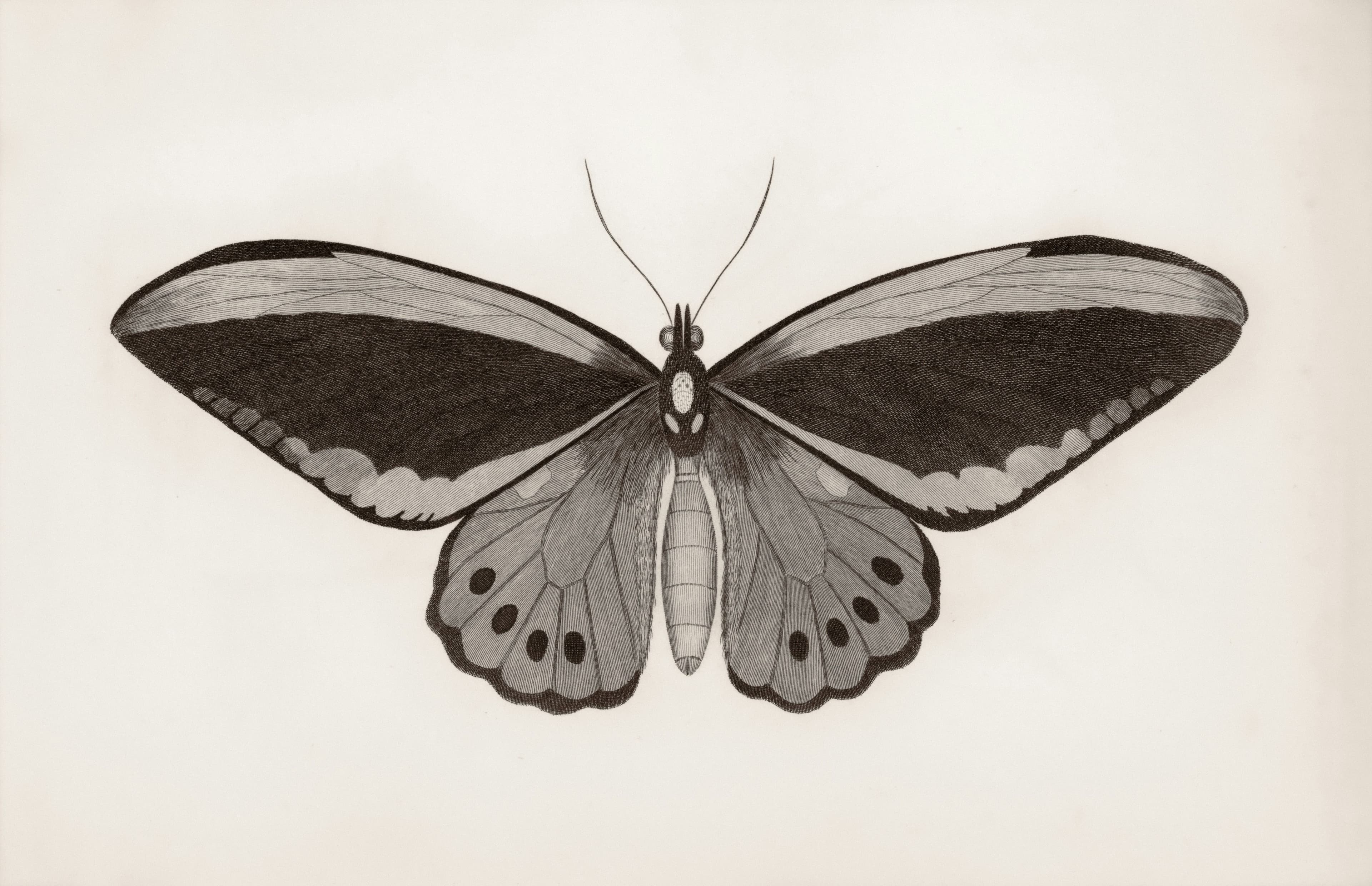 Parking near Monarque restaurant